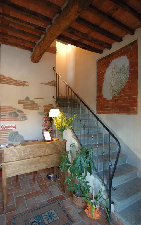 Le Ginestre B & B Massarosa Exterior photo